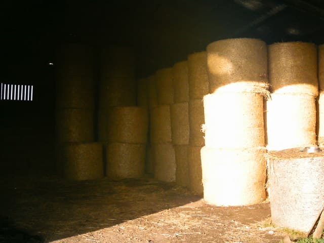Hay bales in a barn